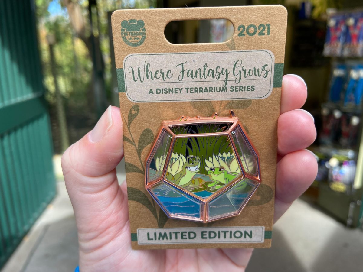 princessandthefrogwherefantasygrowspin1