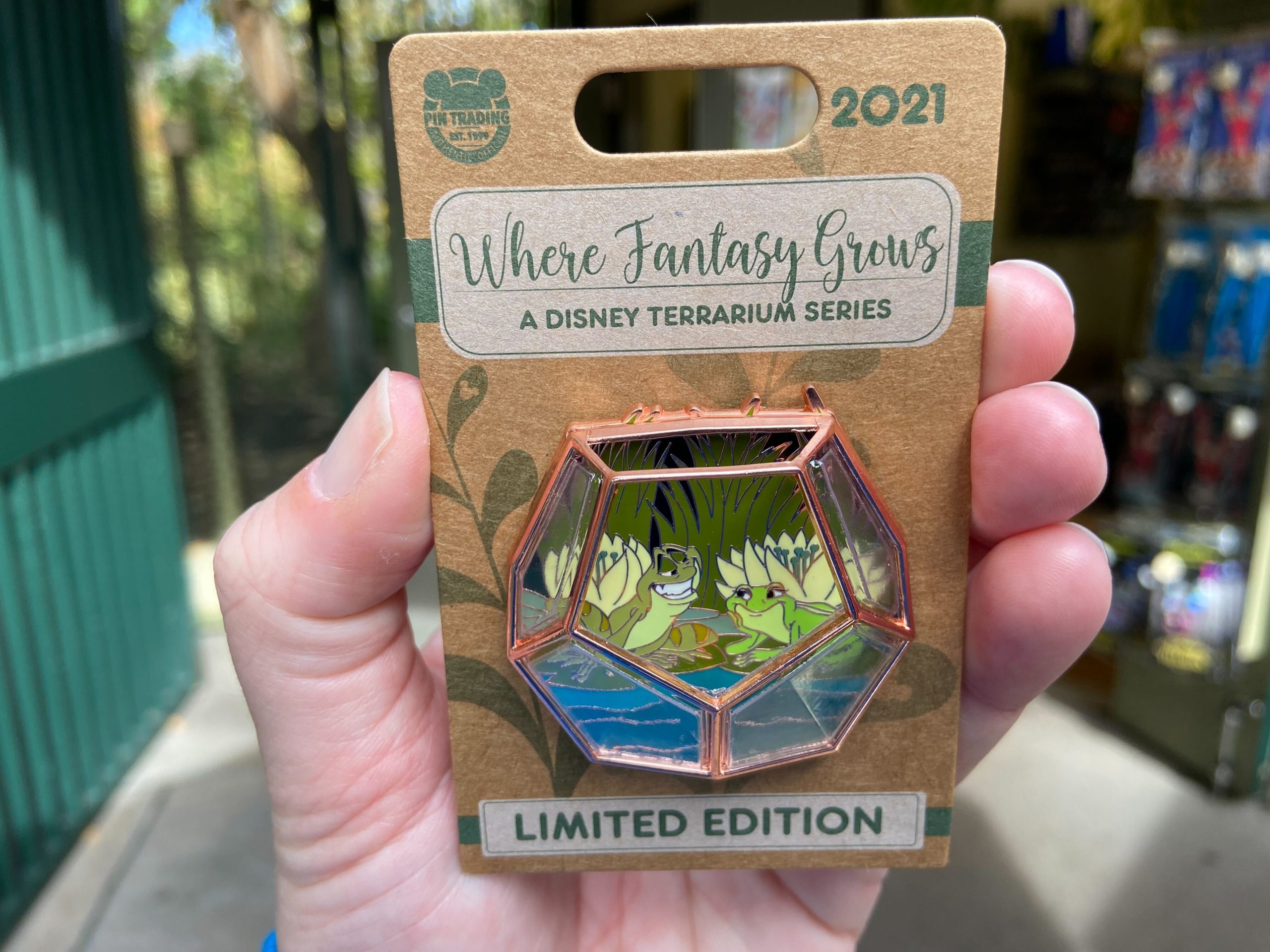 princessandthefrogwherefantasygrowspin1