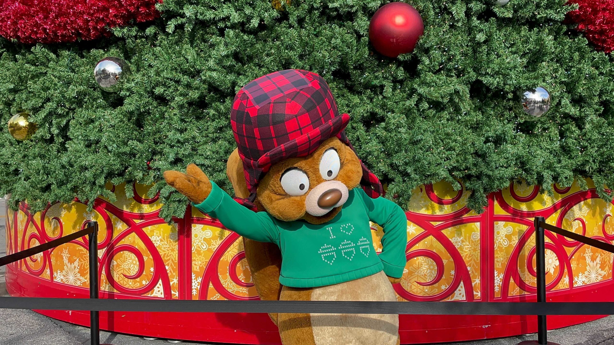 usf-earl-the-squirrel-meet-and-greet-1-1367104