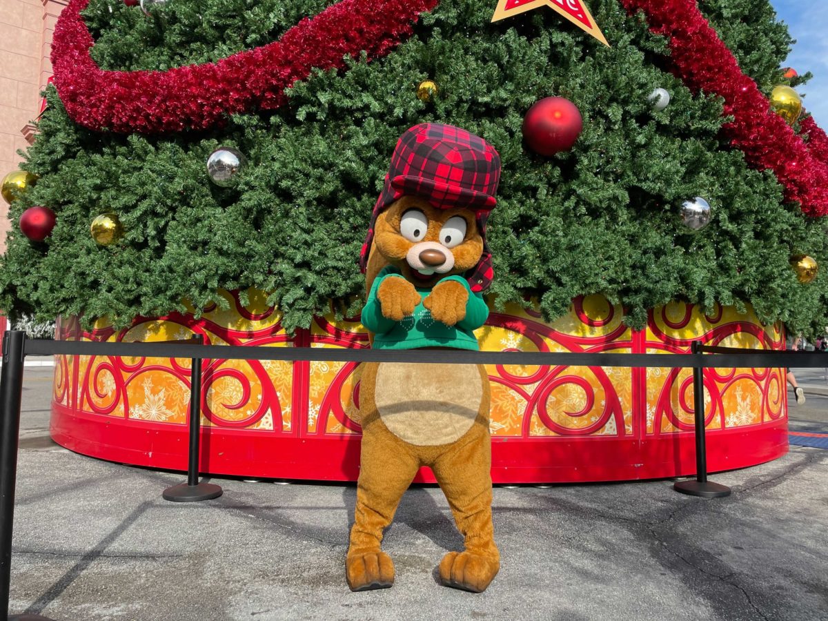usf-earl-the-squirrel-meet-and-greet-12-5182272