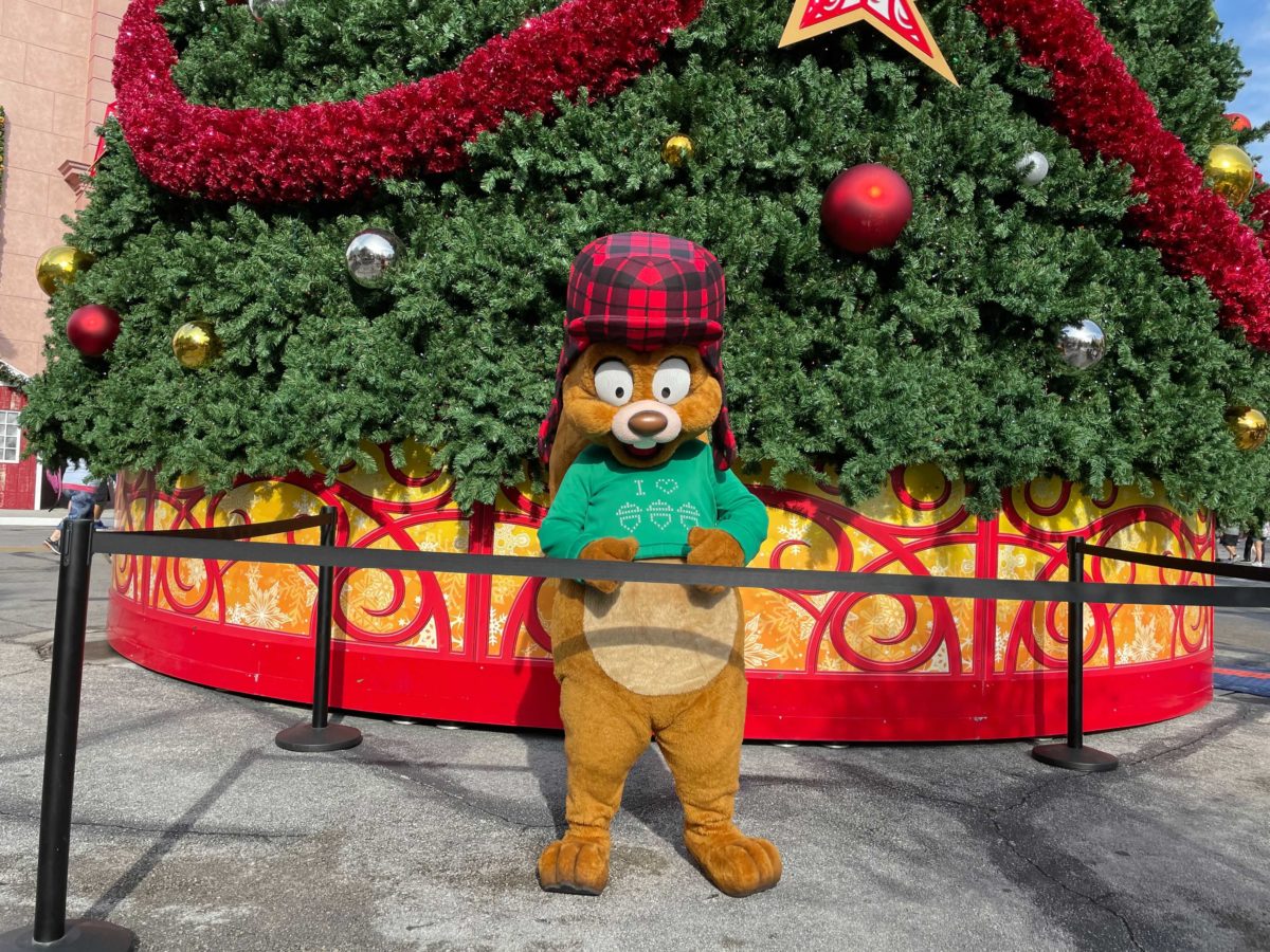 usf-earl-the-squirrel-meet-and-greet-13-1000304