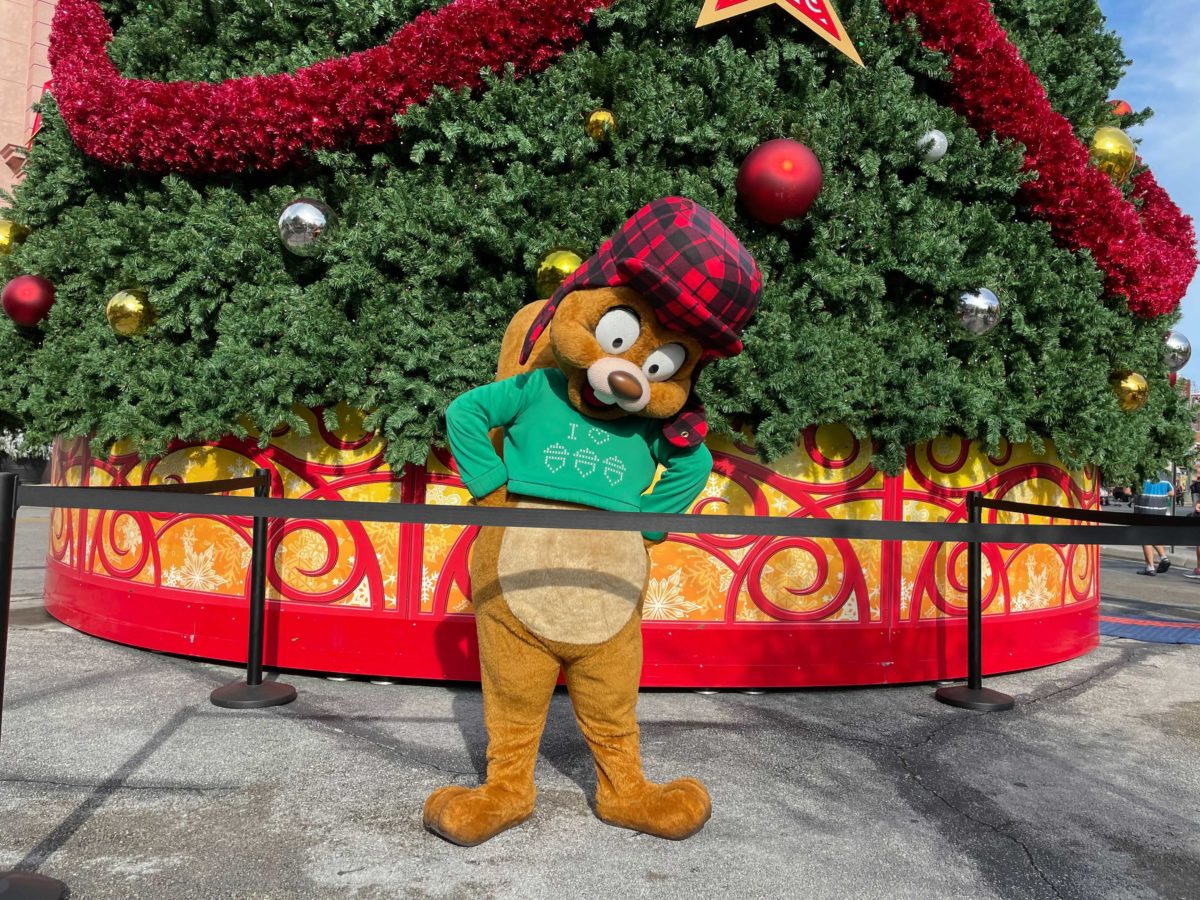 usf-earl-the-squirrel-meet-and-greet-14-7808836