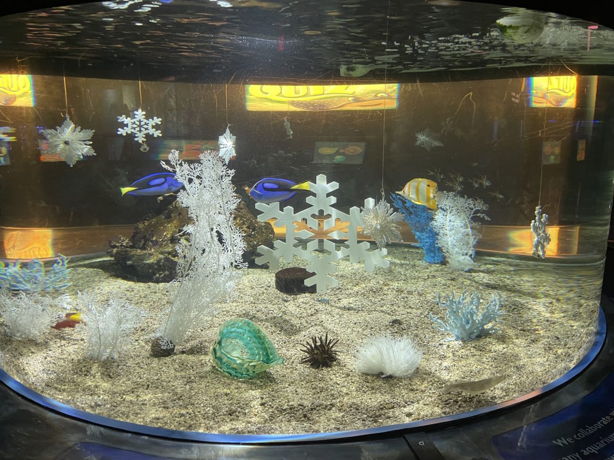 wdw_livingseasholidaydecor2021_9