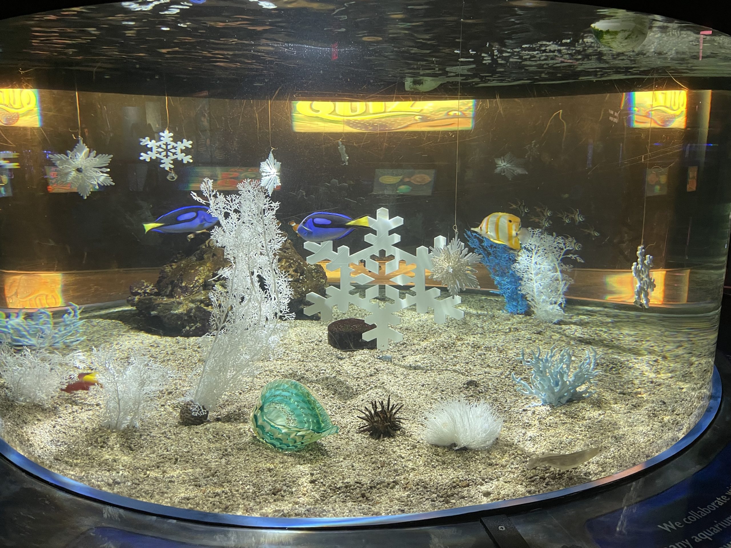 wdw_livingseasholidaydecor2021_9