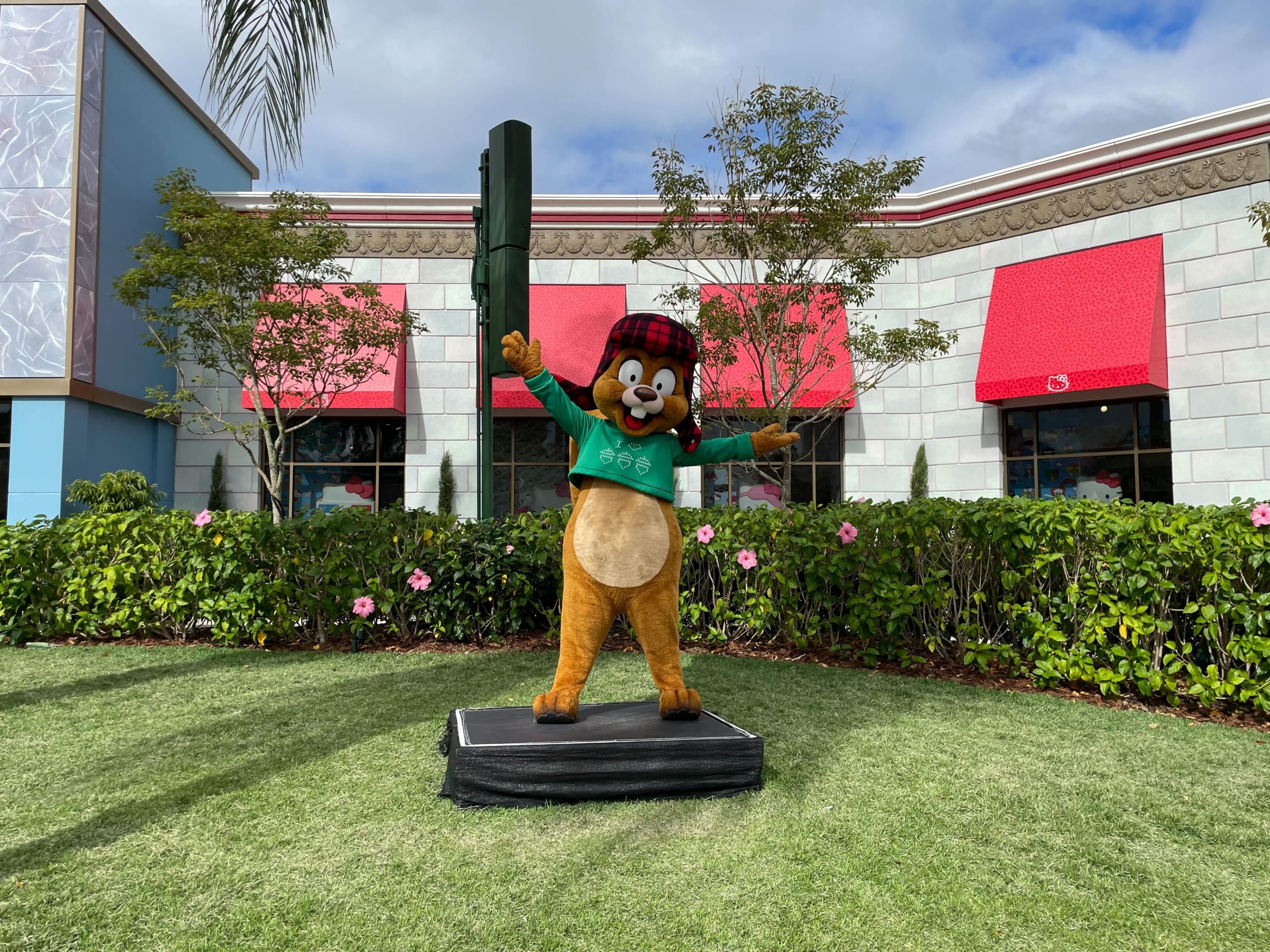 earl-the-squirrel-5387203