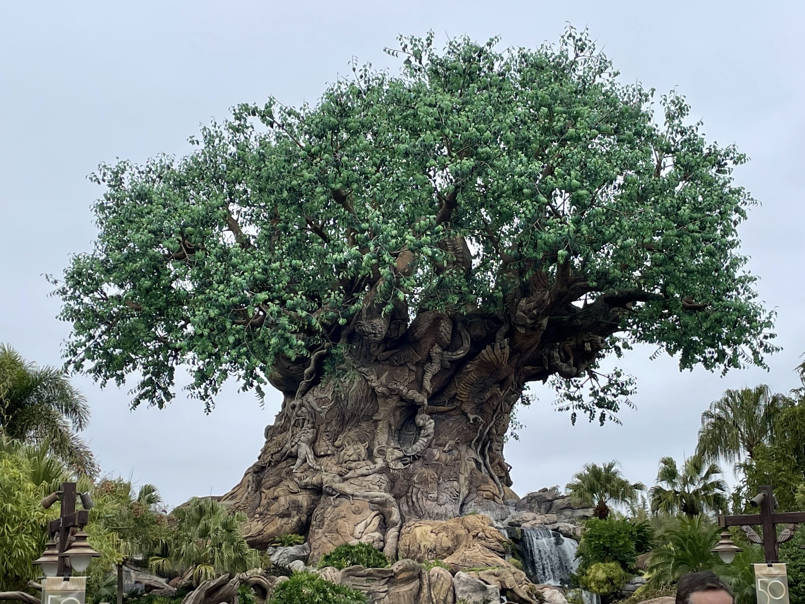 DAK-photo-report-1232022