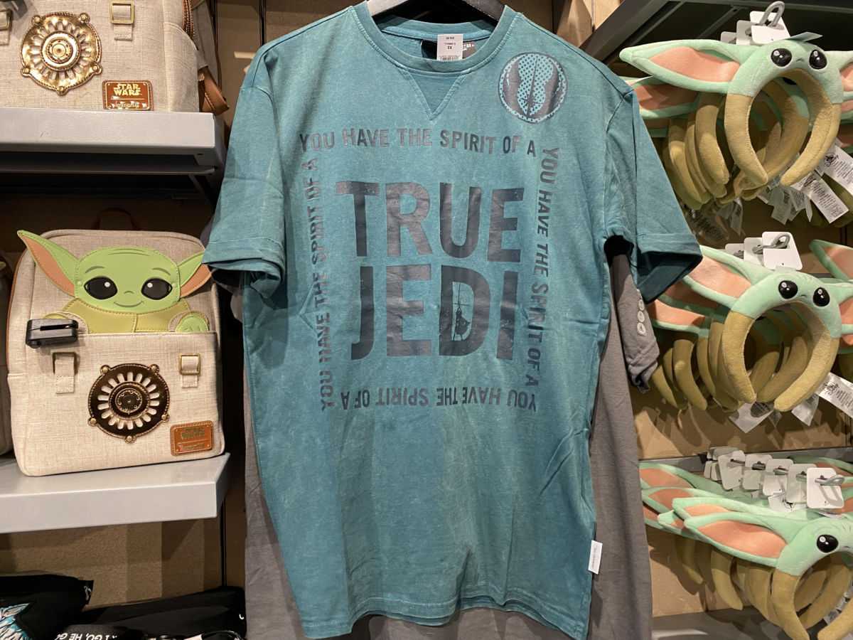 disneys-hollywood-studios-photo-report-1-11-21-16