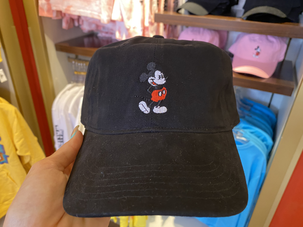 disneys-hollywood-studios-photo-report-1-11-21-26