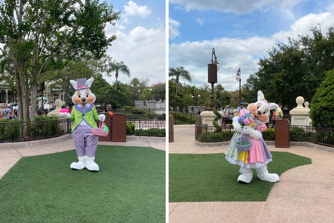 Mr. and Mrs. Easter bunny at Magic Kingdom