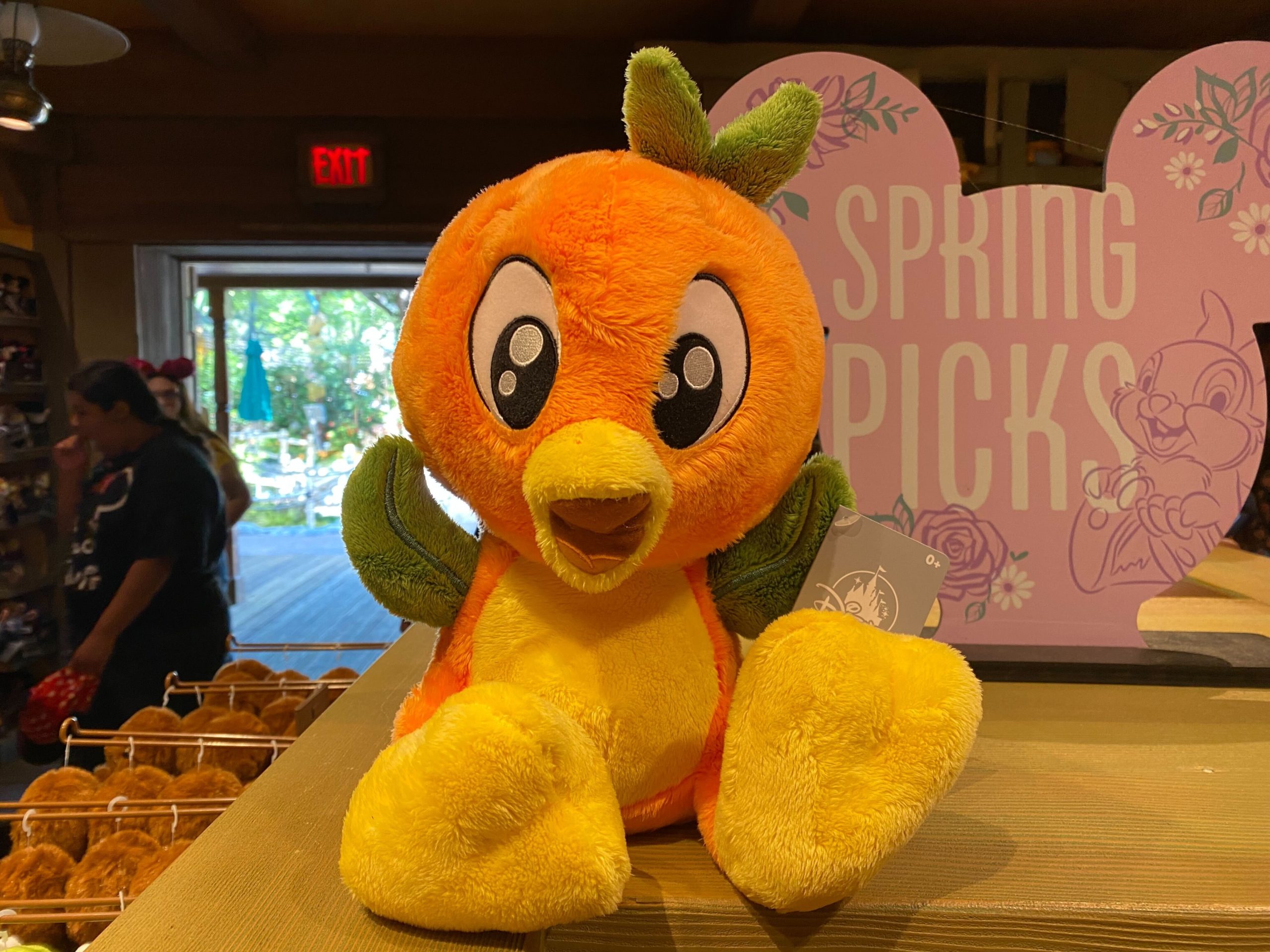 Big Feet Orange Bird