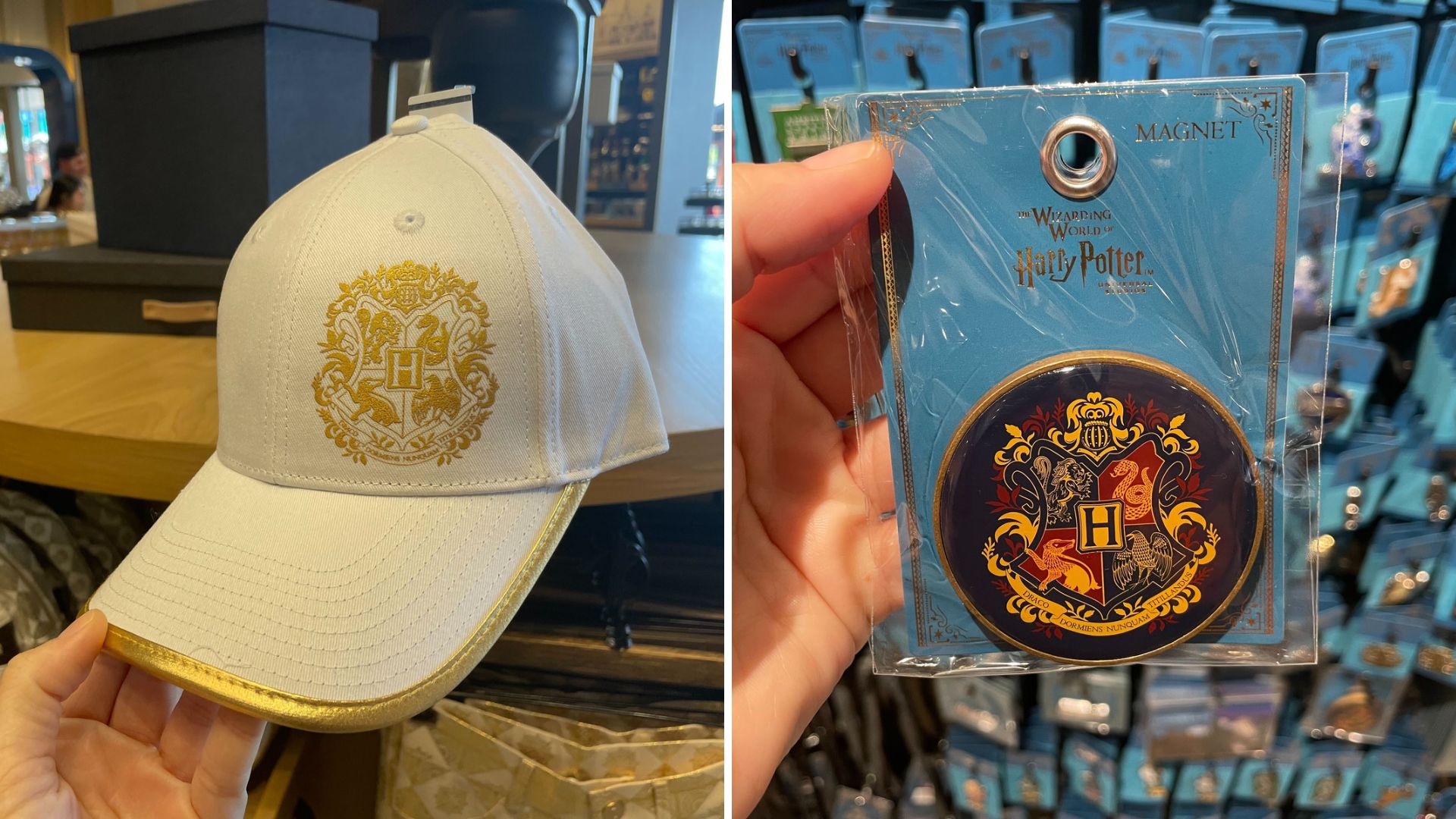 Hogwarts ball cap and magnet