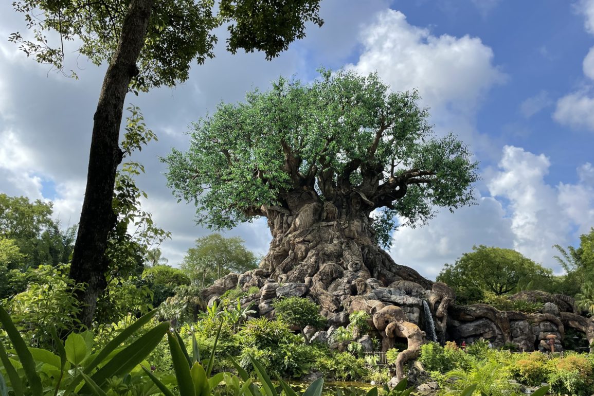 Tree of Life at Disney's Animal Kingdom