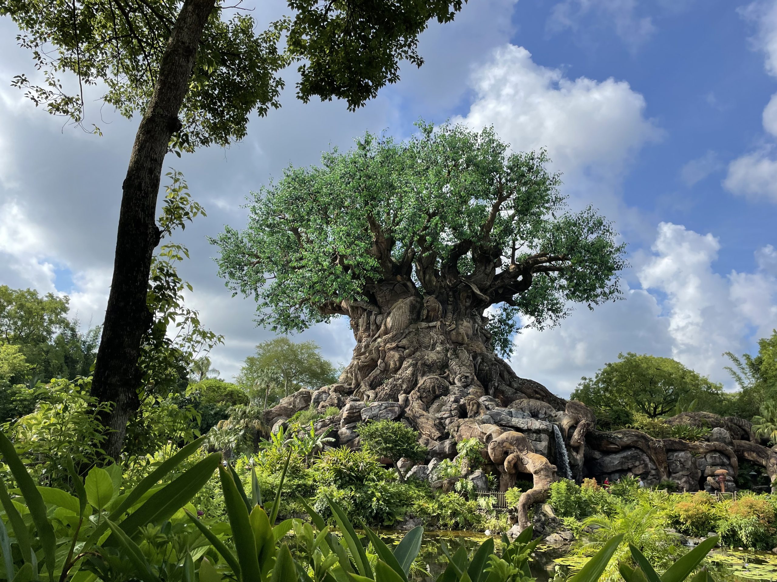 Tree of Life at Disney's Animal Kingdom
