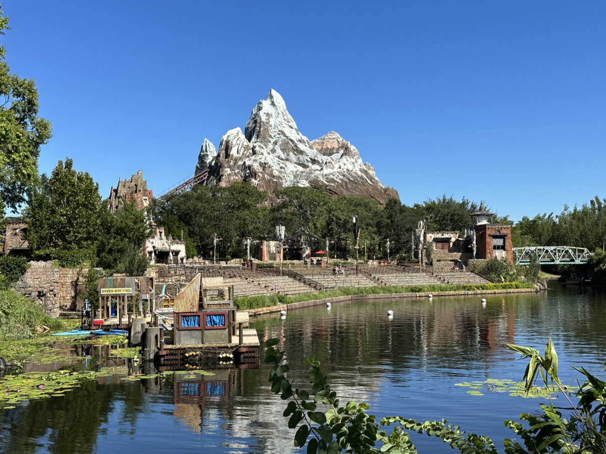 Expedition Everest Disney's Animal Kingdom stock