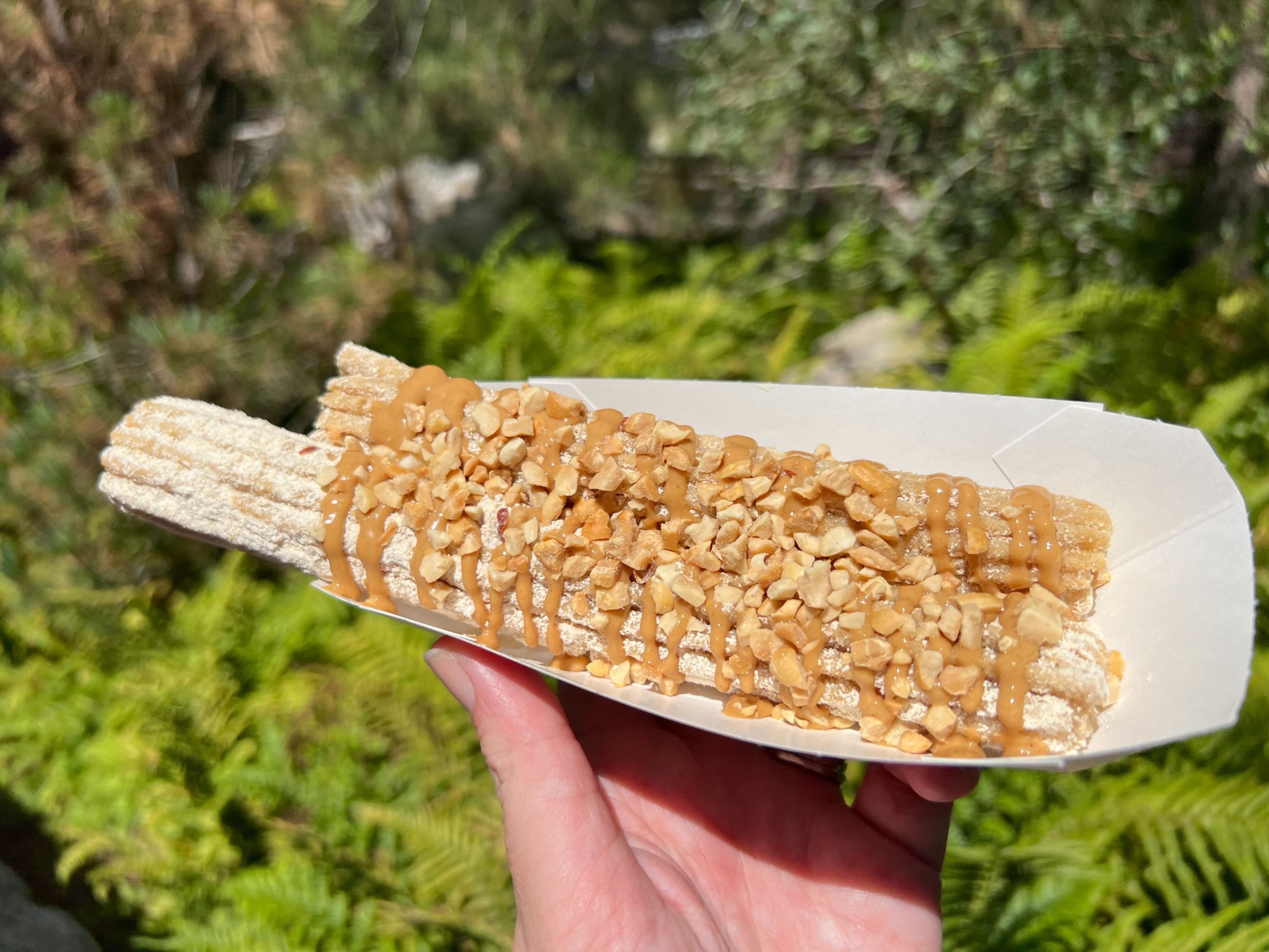 peanut candy churro