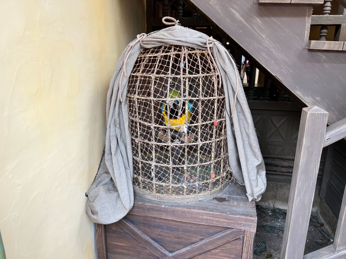 Scurvy Bird from A Pirate's Adventure ~ Treasures of the Seven Seas close up