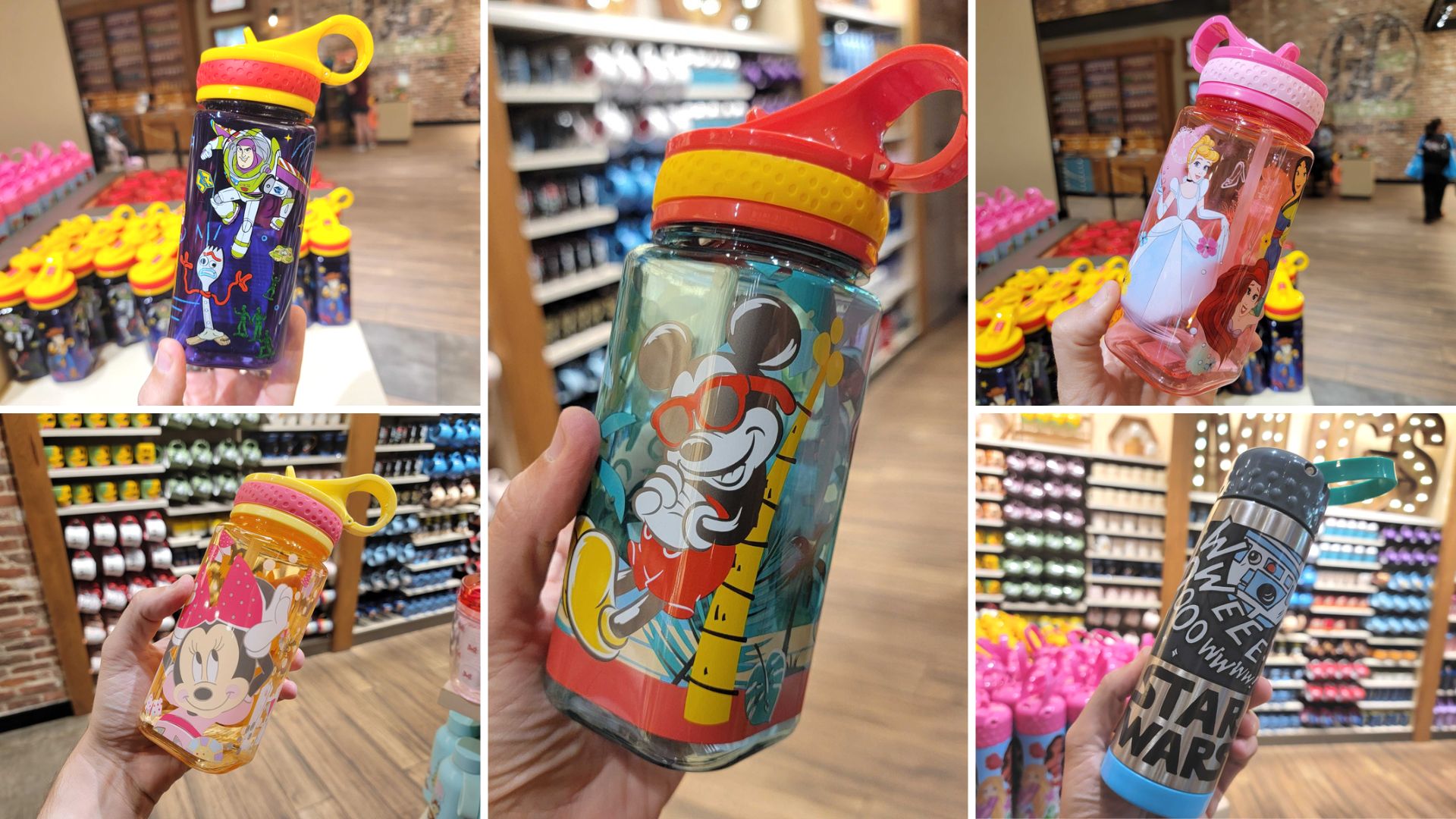 Disneyland water bottles collage