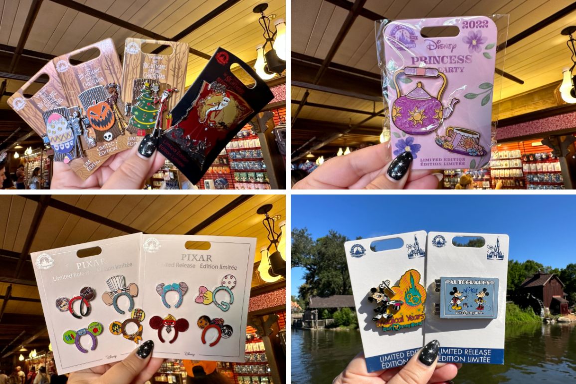 Limited edition WDW pins college