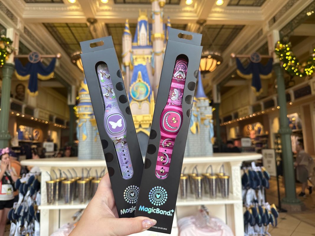 Bambi Ches Cat MB plus group 1