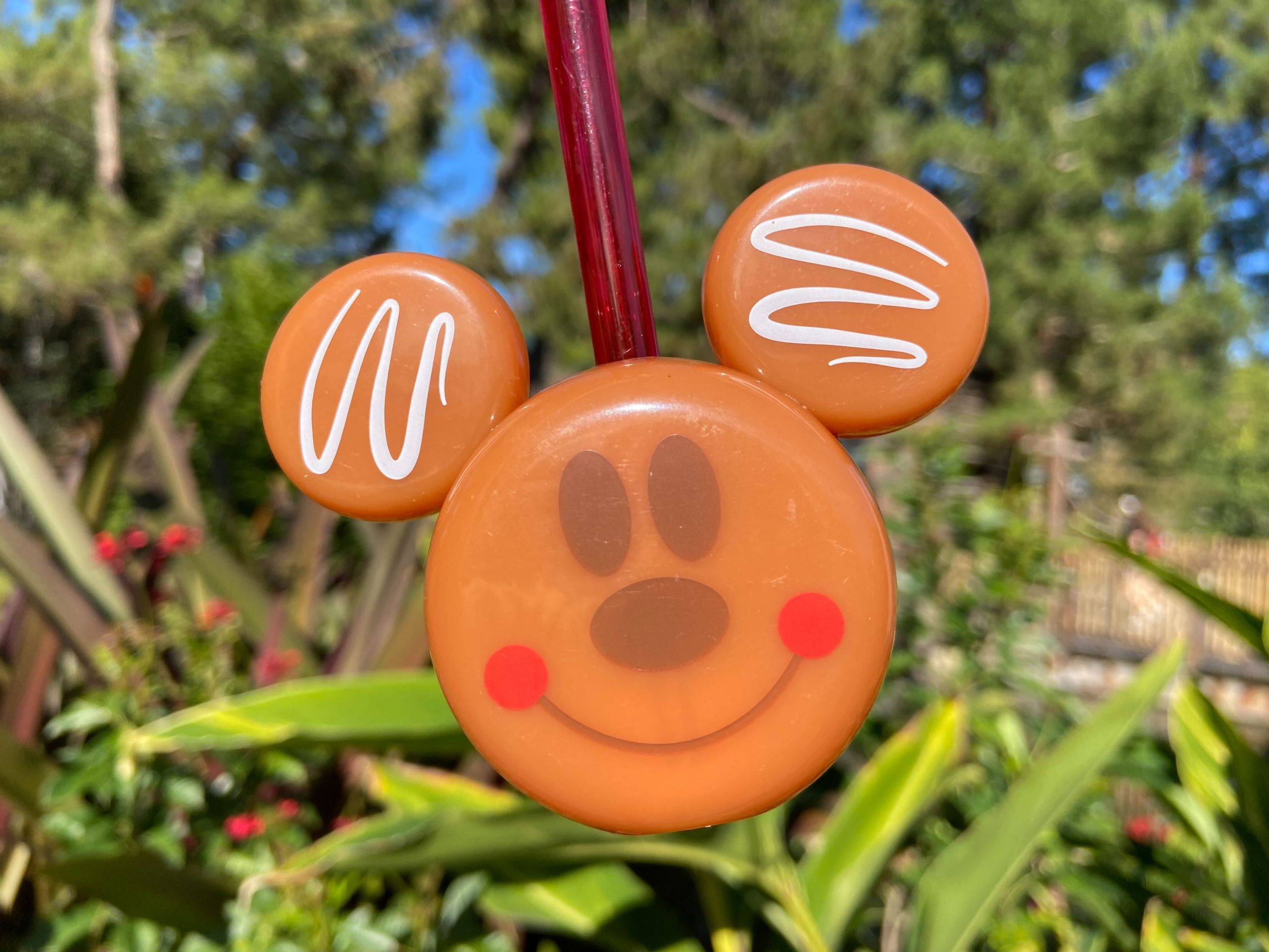 ginberbread-bottle-topper-disneyland-