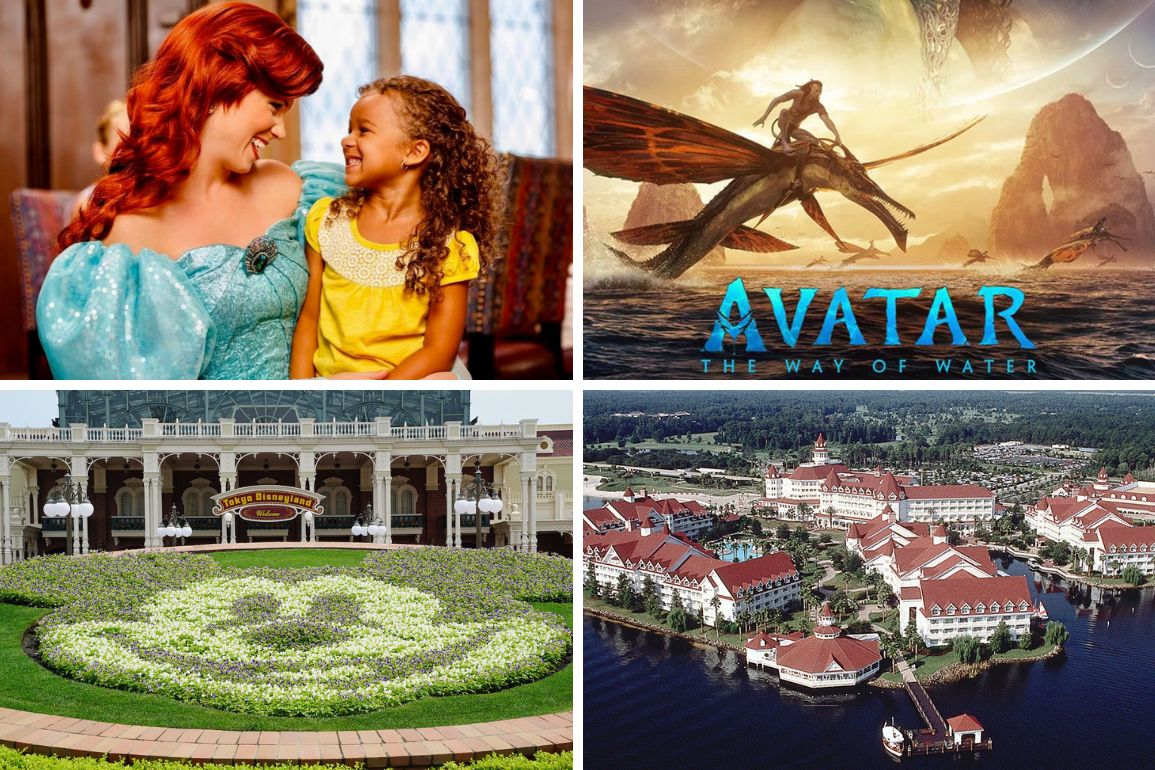 Daily Recap Feature - 12/19/22