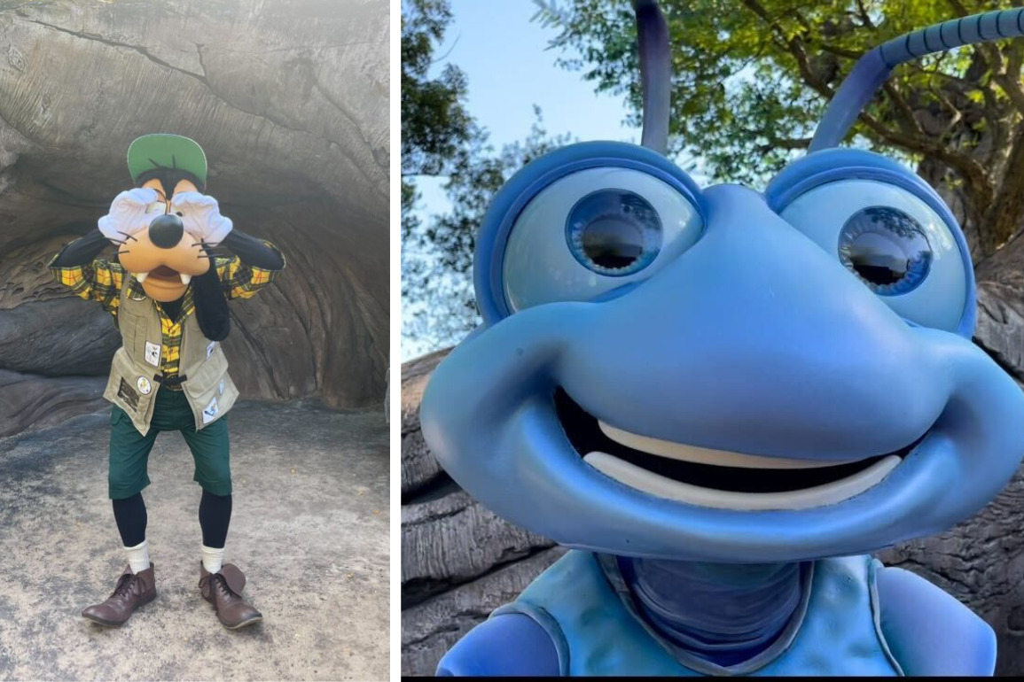 Collage of Goofy and Flik at Disney's Animal Kingdom