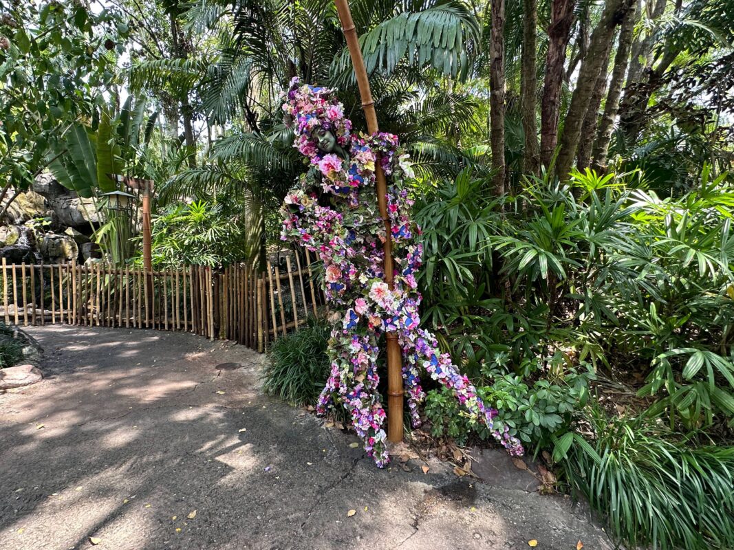 DiVine with spring flowers at Disney's Animal Kingdom