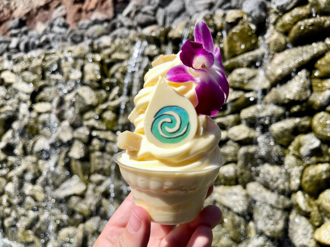 Heart of Te Fiti Mochi Dole Whip Cup
Pineapple Lanai
Disney's Polynesian Village Resort
