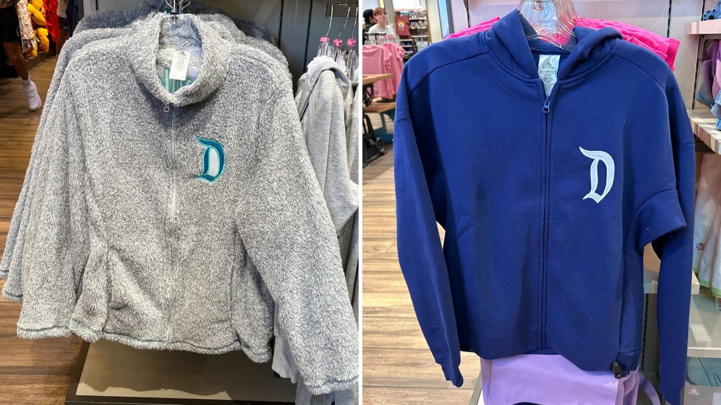 Disneyland sweatshirt and hoodie
