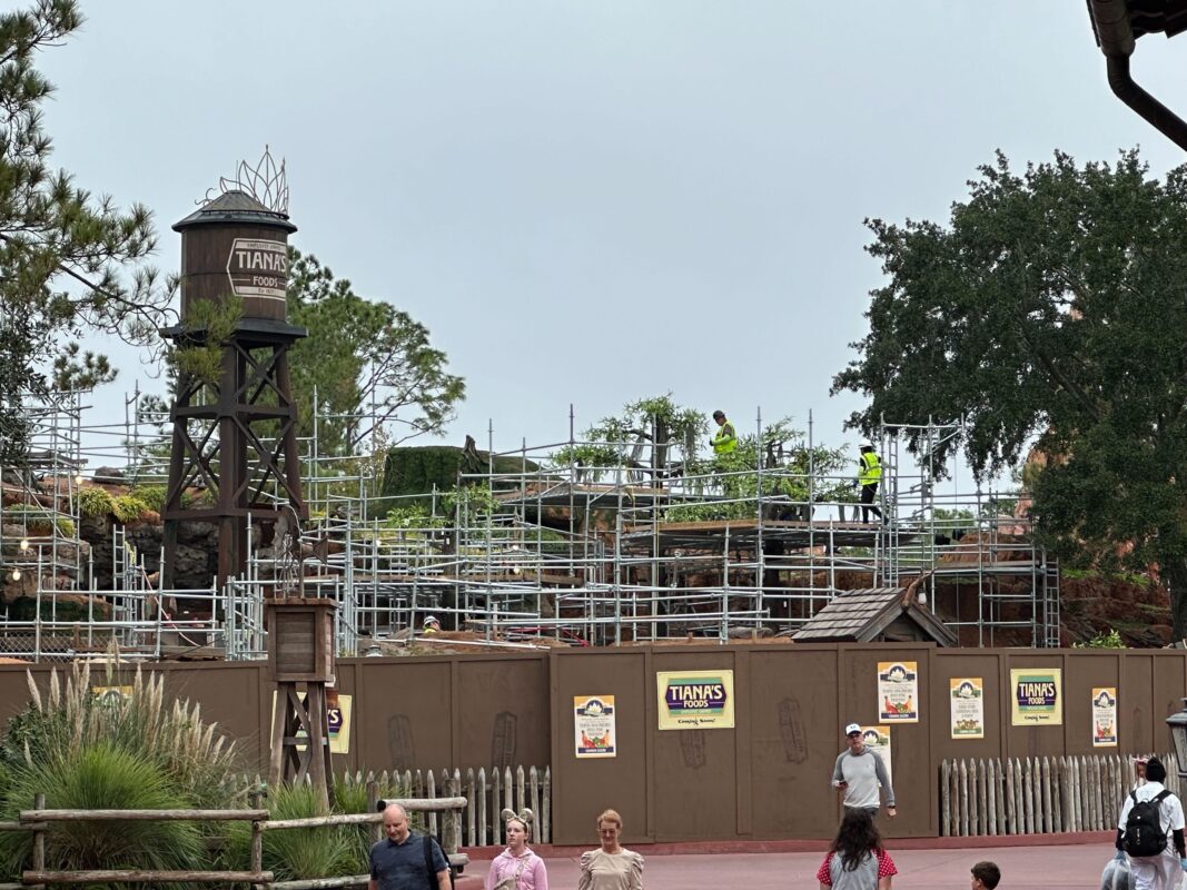 Tiana's Bayou Adventure