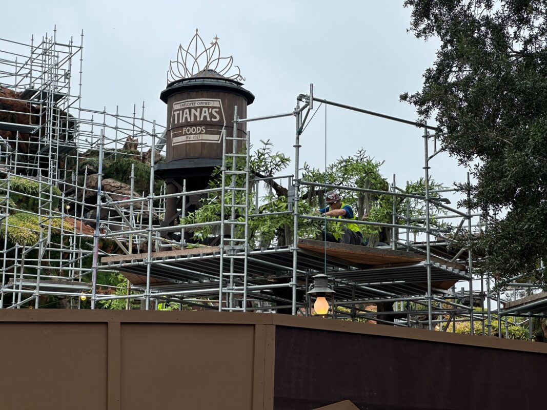 Tiana's Bayou Adventure