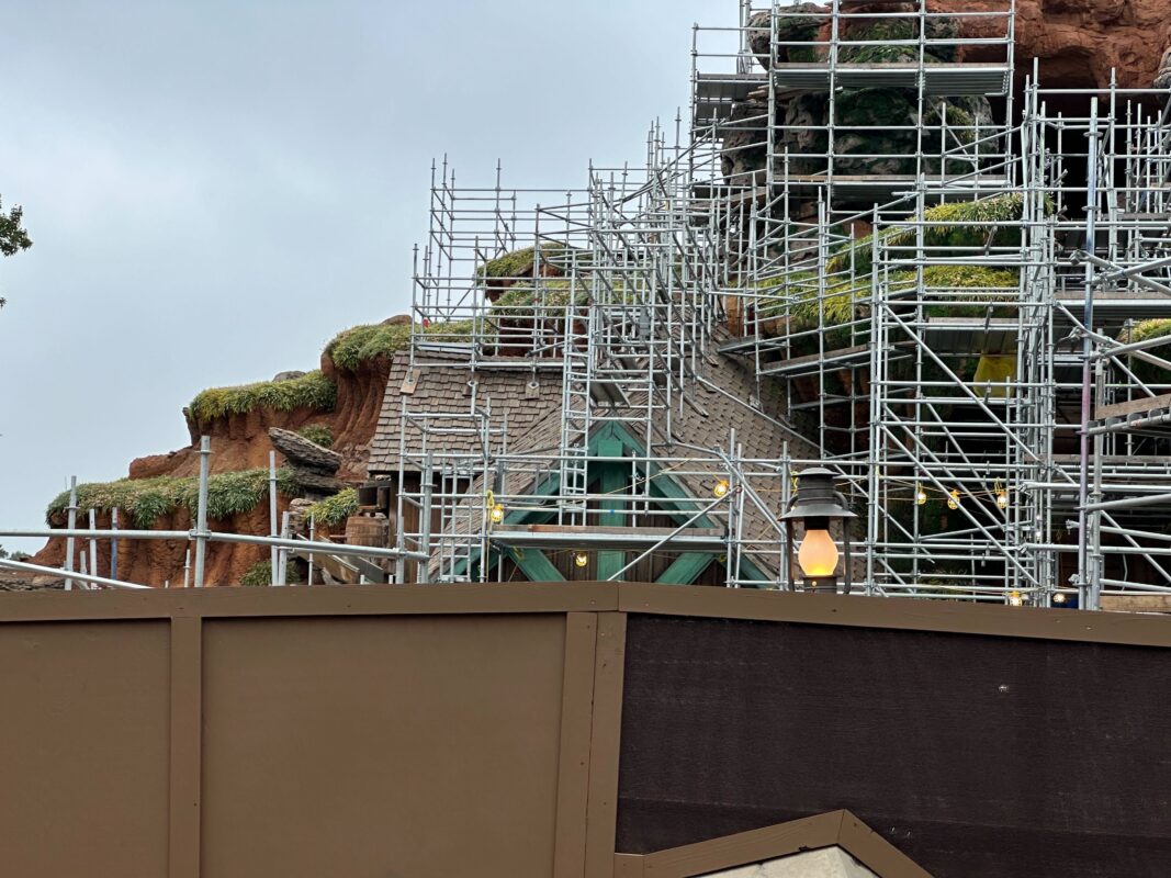 Tiana's Bayou Adventure