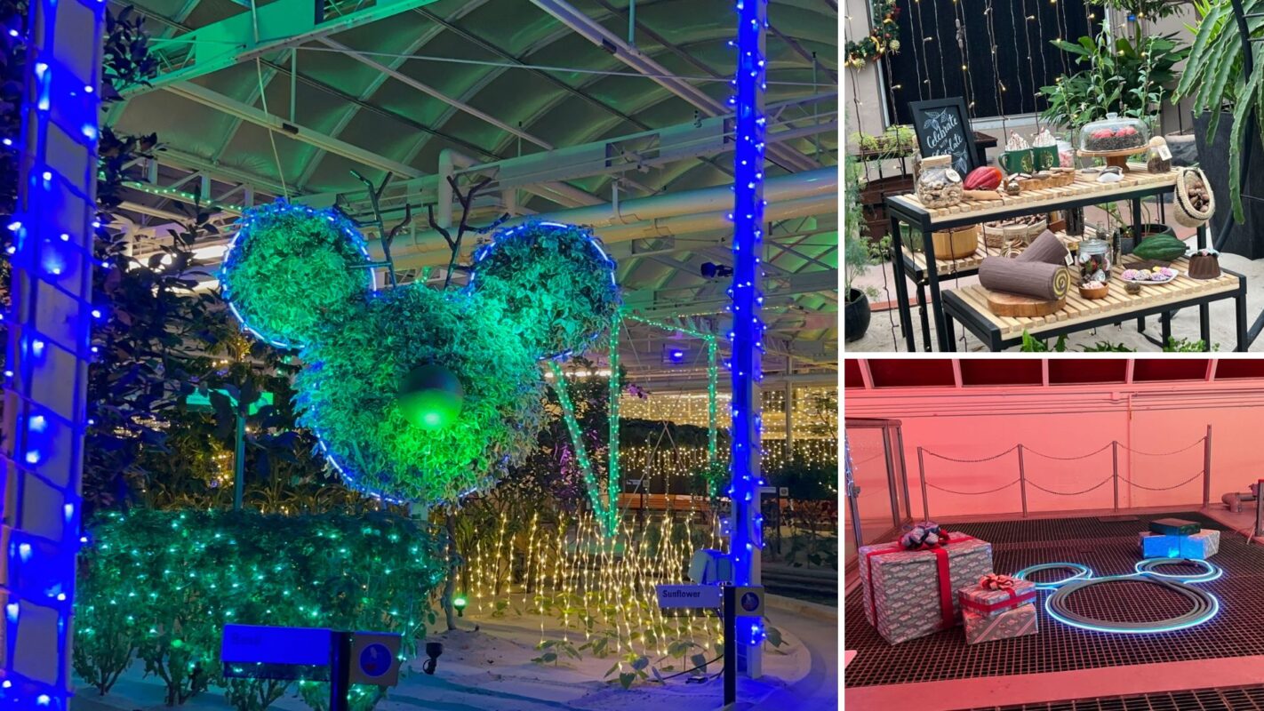 A topiary sculpture lit with green lights and shaped like a mouse face, surrounded by blue lights. Adjacent is a "Living with the Land" themed table featuring plants and food items, alongside a red-lit area with wrapped presents and glowing rings.