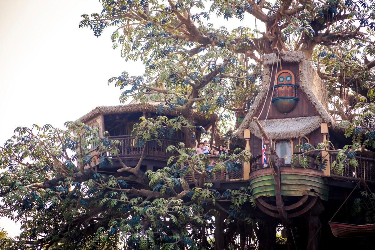 Tarzan's Treehouse