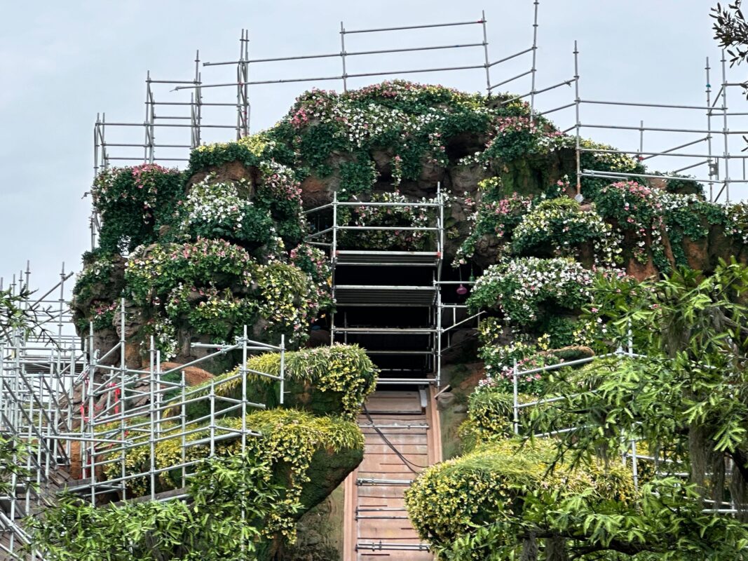 Top of Tiana's Bayou Adventure mountain with scaffolding