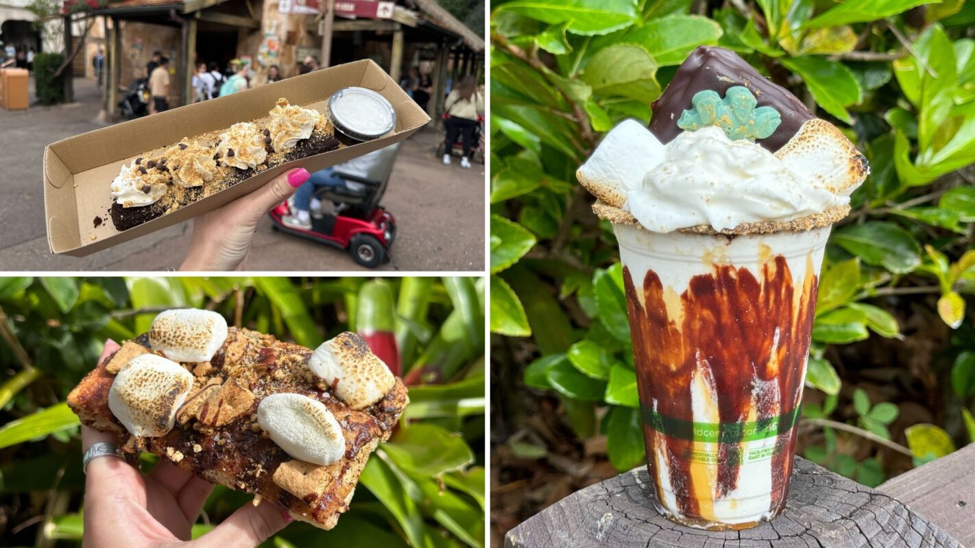 S'mores snacks at Disney's Animal Kingdom
