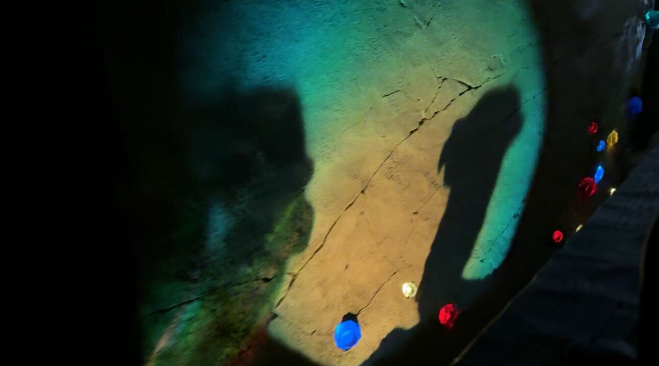 Two shadows on Seven Dwarfs Mine Train