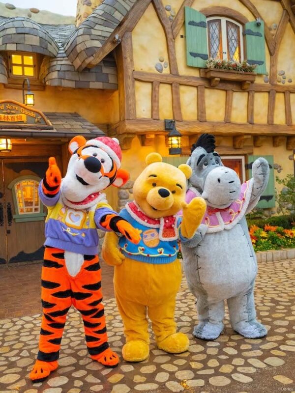 From left to right, Tigger, Winnie the Pooh, and Eeyore wear their own festive outfits.