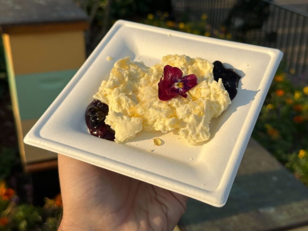 Liquid Nitro Honey-Mascarpone Cheesecake