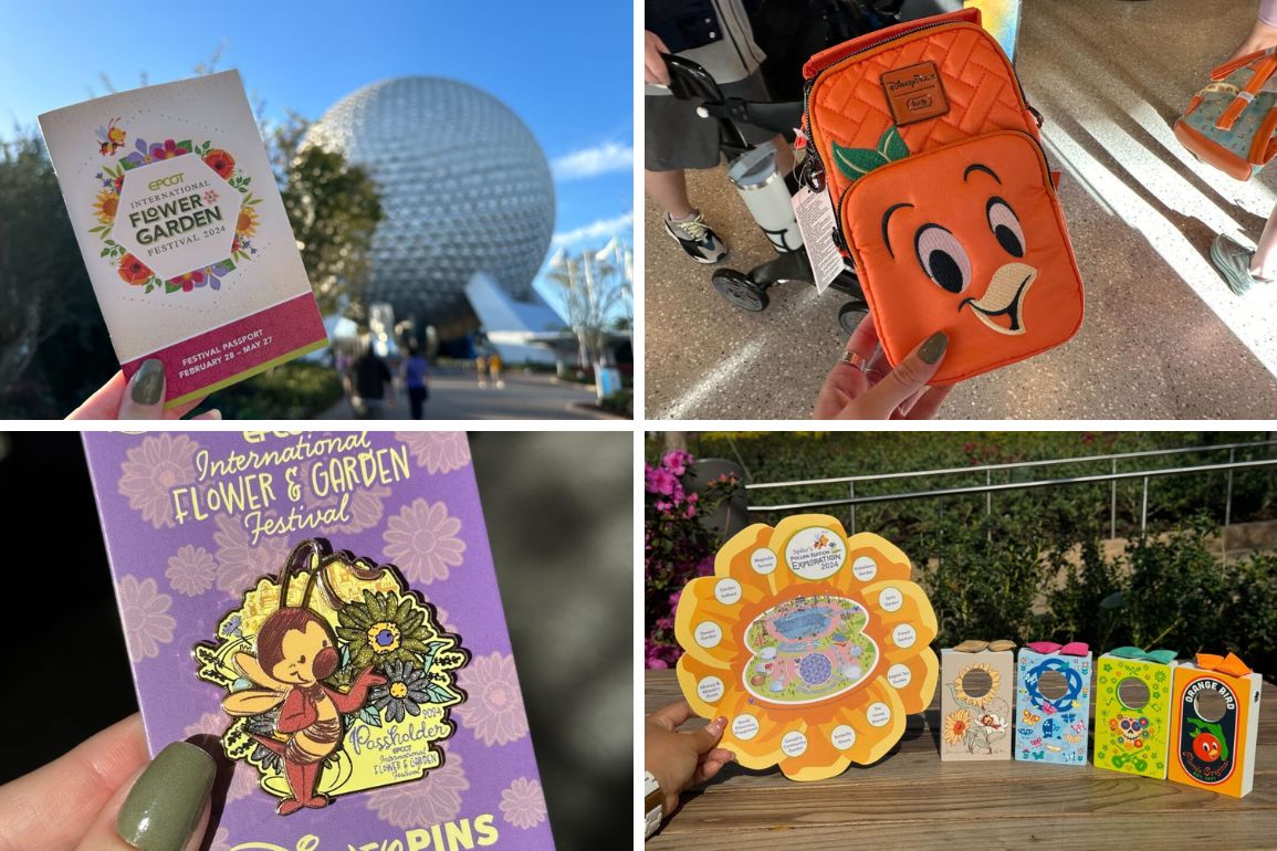 A collage of four images for the 2/28 daily recap