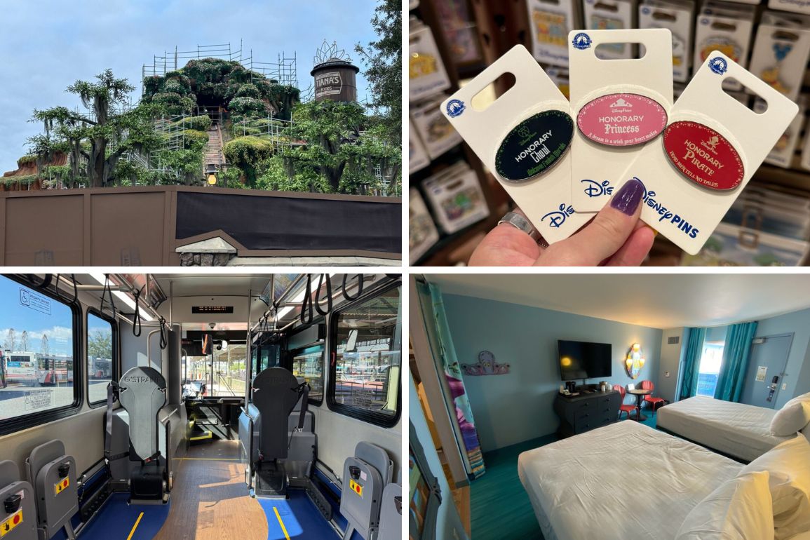 Daily recap collage for February 11