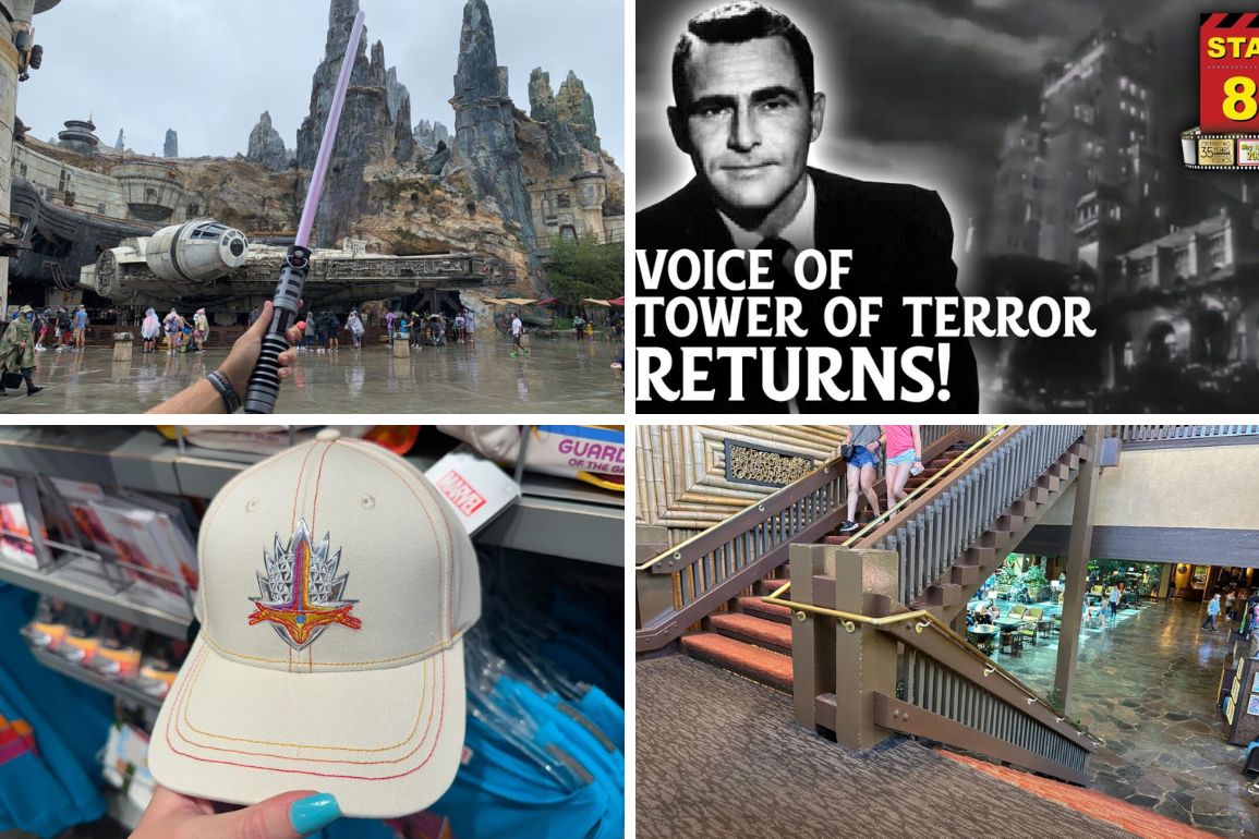 daily recap for February 24 collage