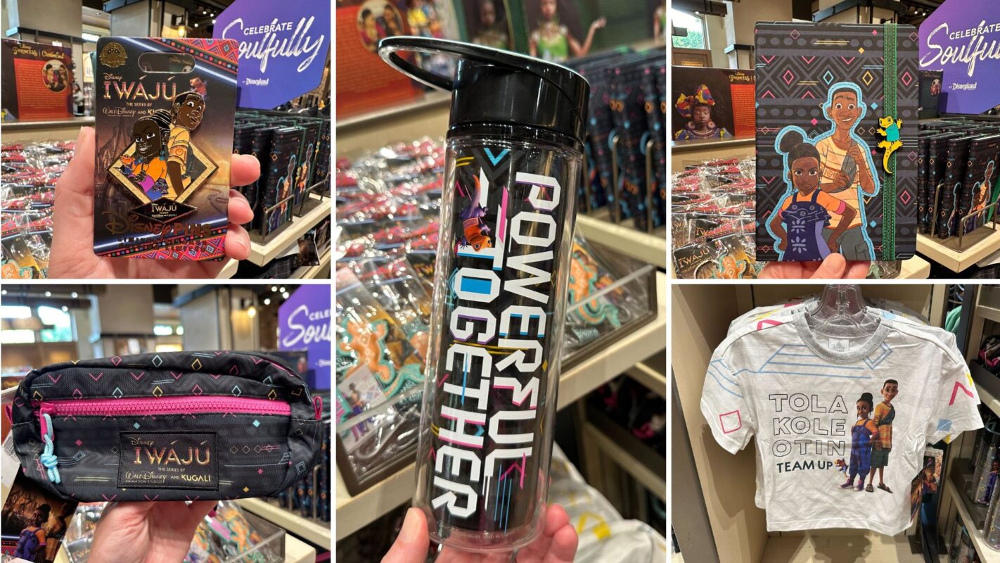 Iwaju merchandise collage