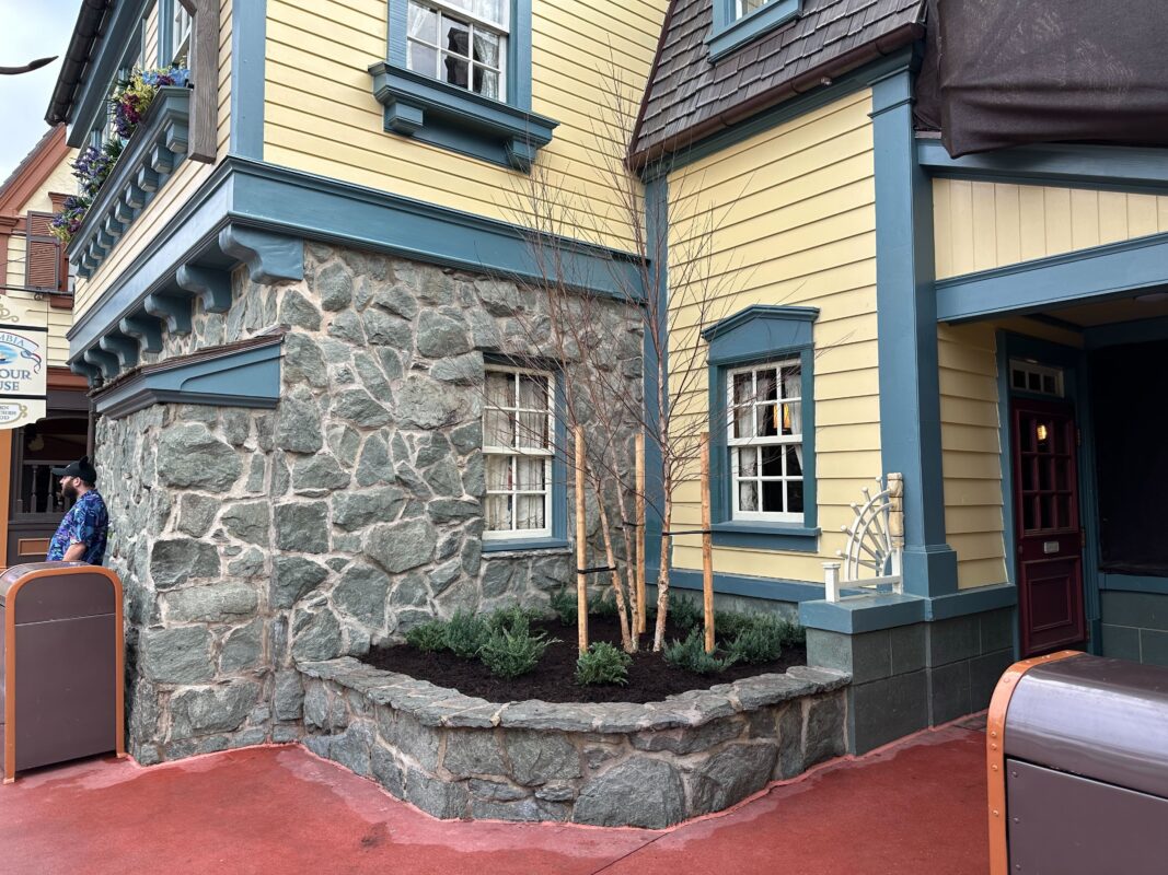 Tree and shrubs outside Columbia Harbour House