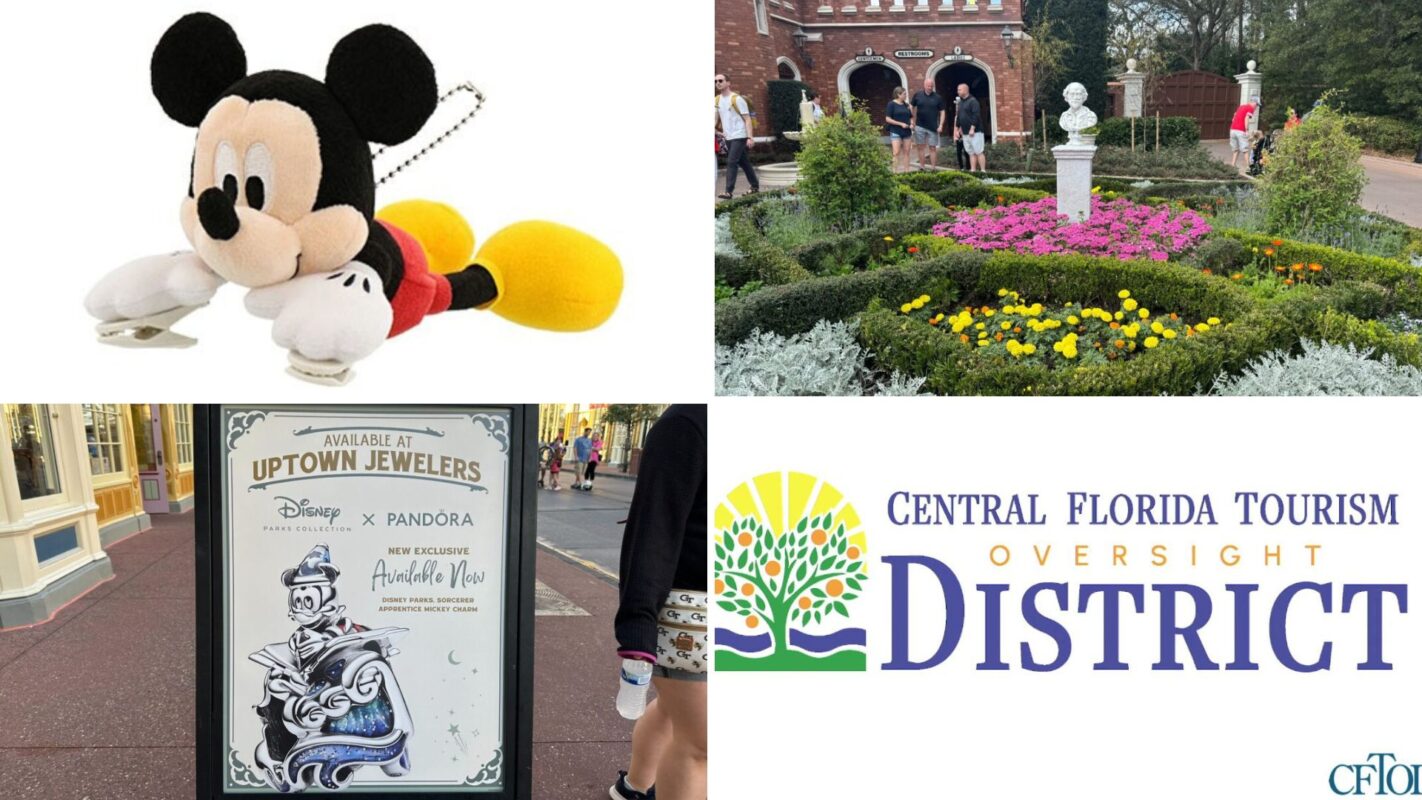 Daily recap February 25, 2024