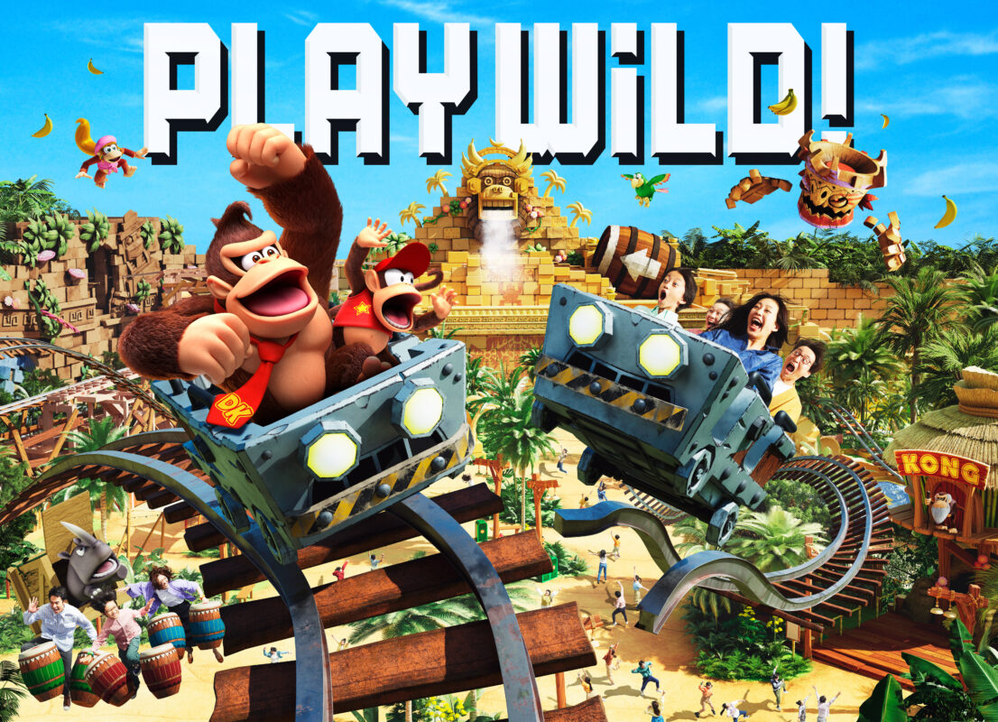 Donkey Kong Country Play Wild! art