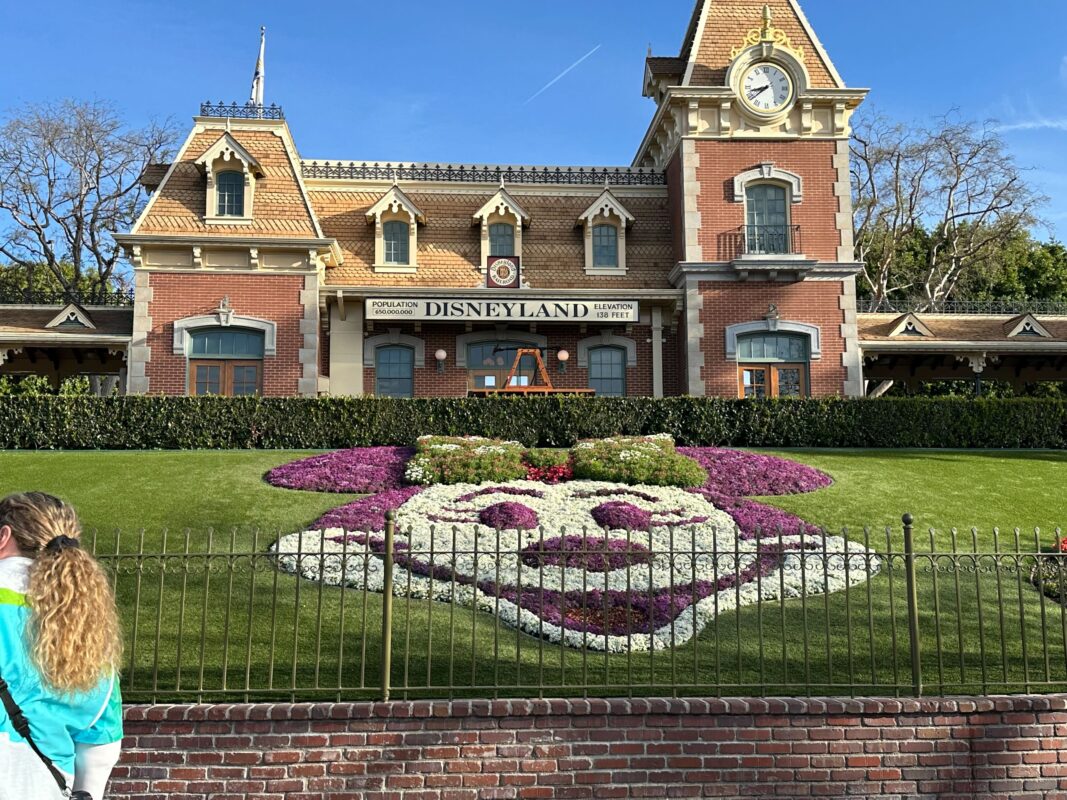 Minnie Mouse flowerbed at Disneyland