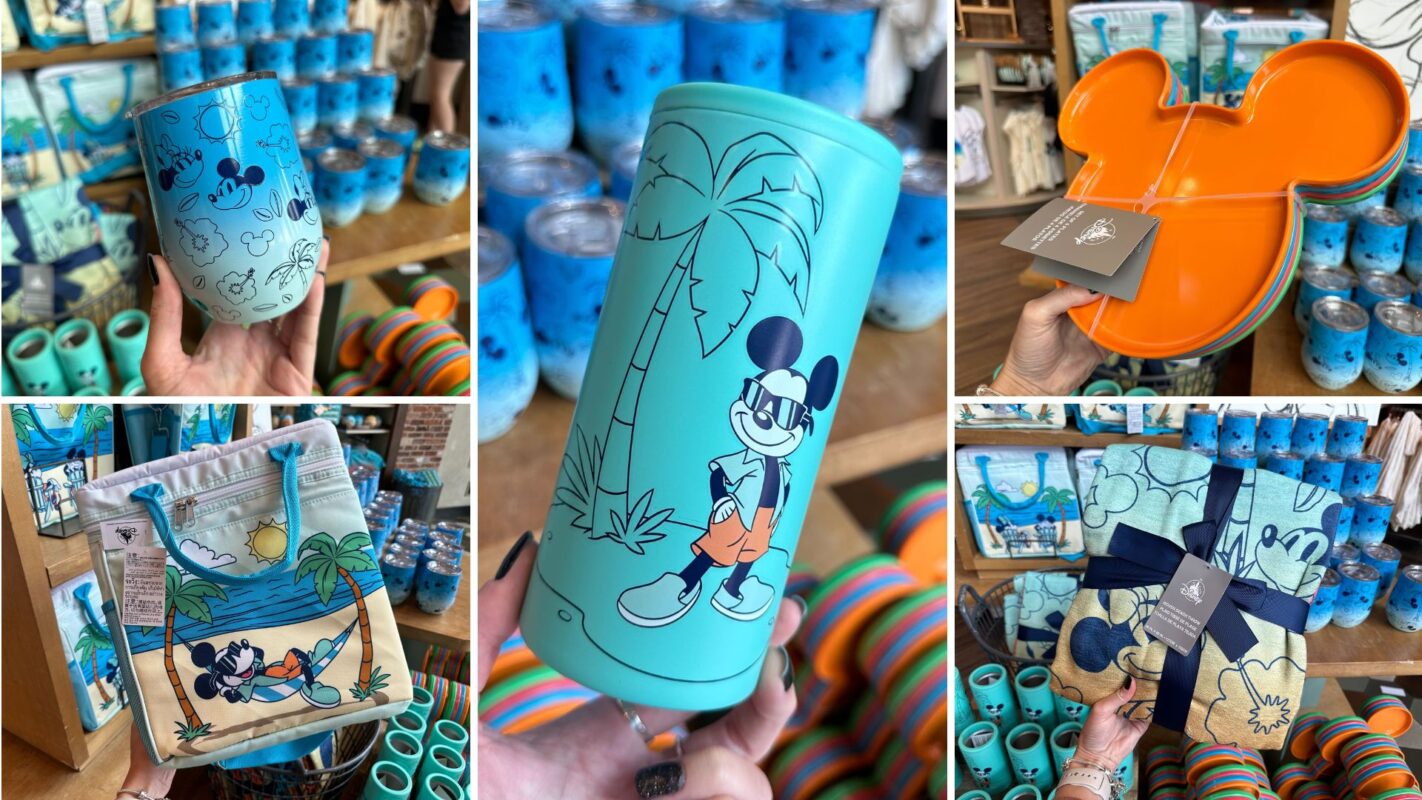 Mickey and Minnie Mouse summer merchandise collage