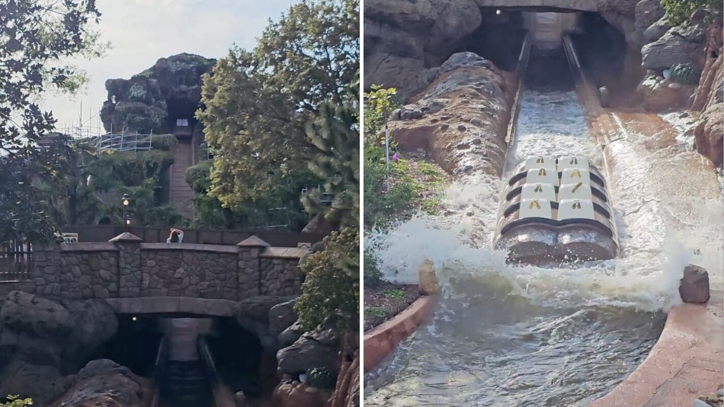 Tiana's Bayou Adventure log with dummies