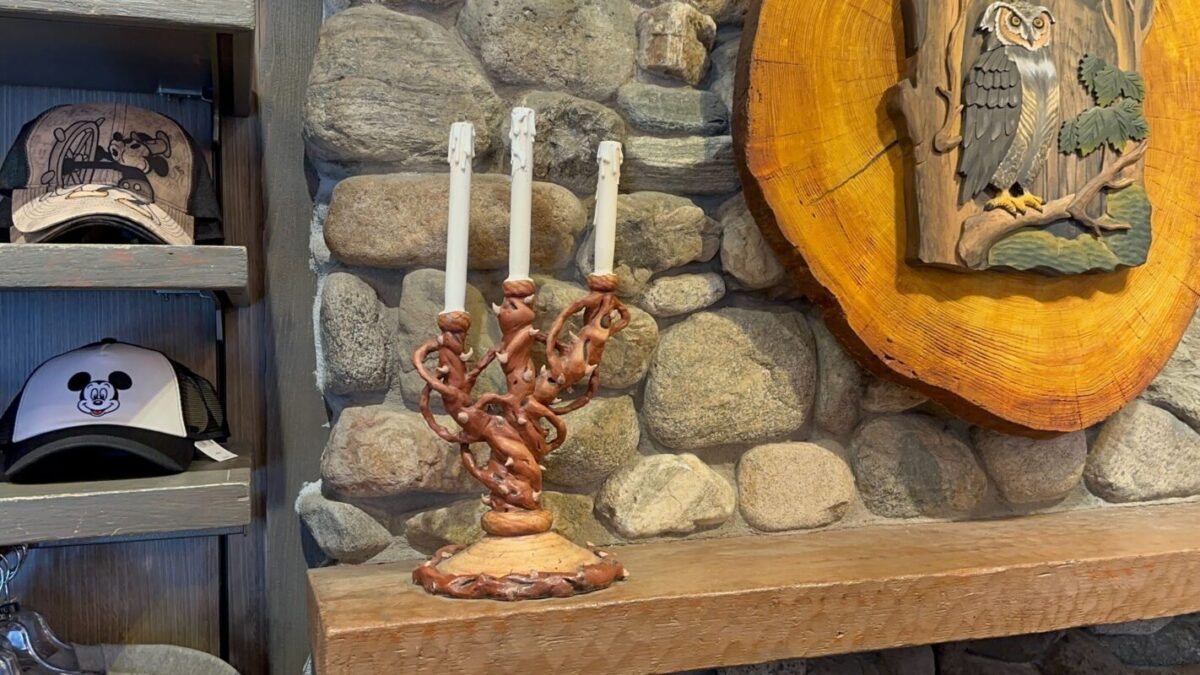 A rustic wooden shelf displaying a twisted branch candle holder with two white candles, next to items including a wooden owl plaque and a baseball cap.